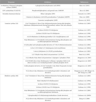 Inhibitors of riboflavin biosynthetic pathway enzymes as potential antibacterial drugs